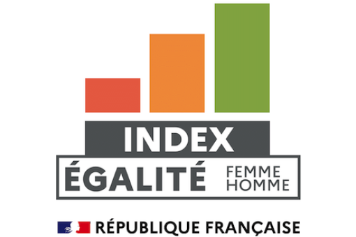 index d'égalité femmes-hommes index d'égalité femmes-hommes